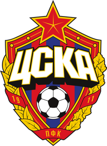 team logo